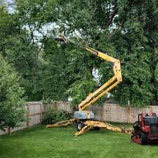 Best Firewood Processing and Delivery  in Brooksville, FL