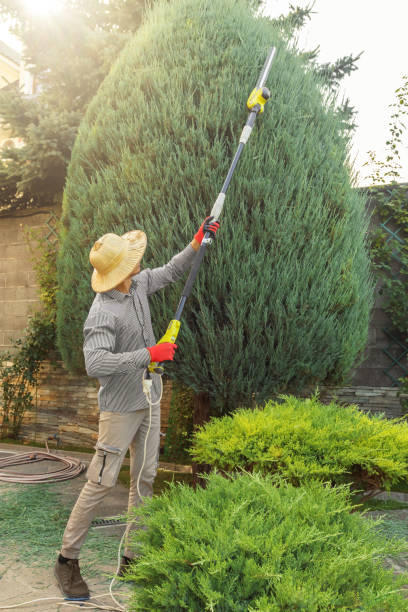Best Landscape Design and Installation  in Brooksville, FL